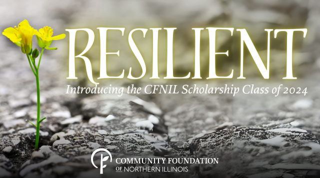 grey blurred background with bright yellow flower in foreground. text reads: Resilient: Introducing the CFNIL Scholarship Class of 2024