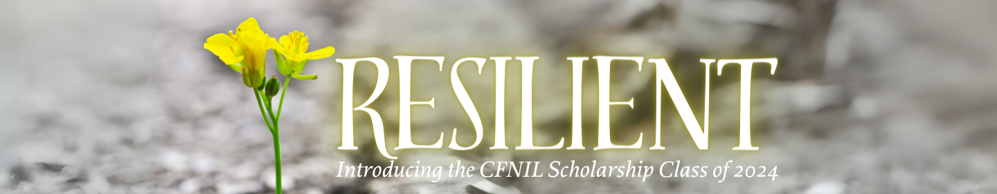 Grey blurred background with a bright yellow flower in the foreground. Text reads "Resilient, introducing the CFNIL Scholarship Class of 2024