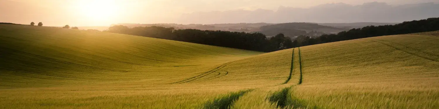 Description of image