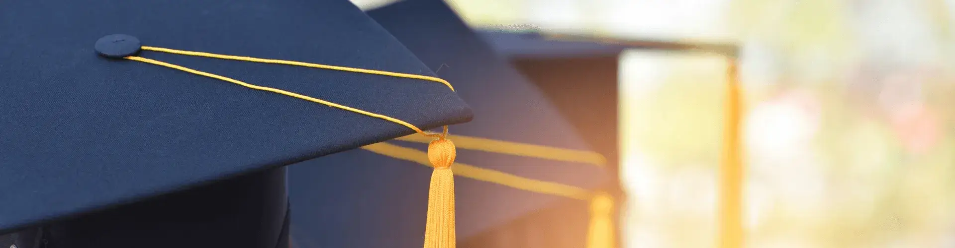 Description of image