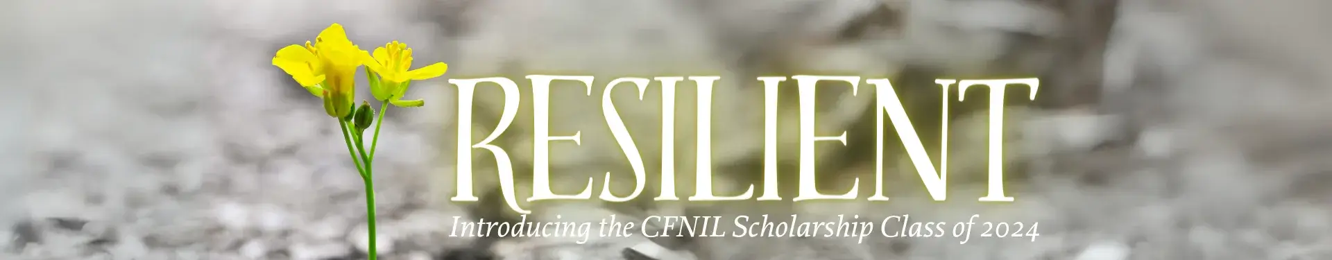 Description of image