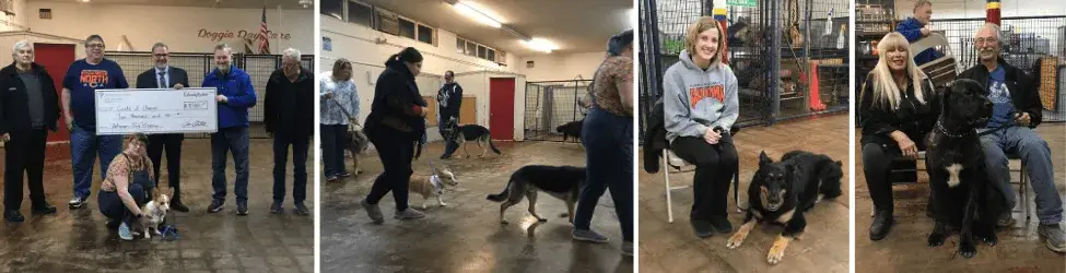 Circle of Change Veteran Dog Program