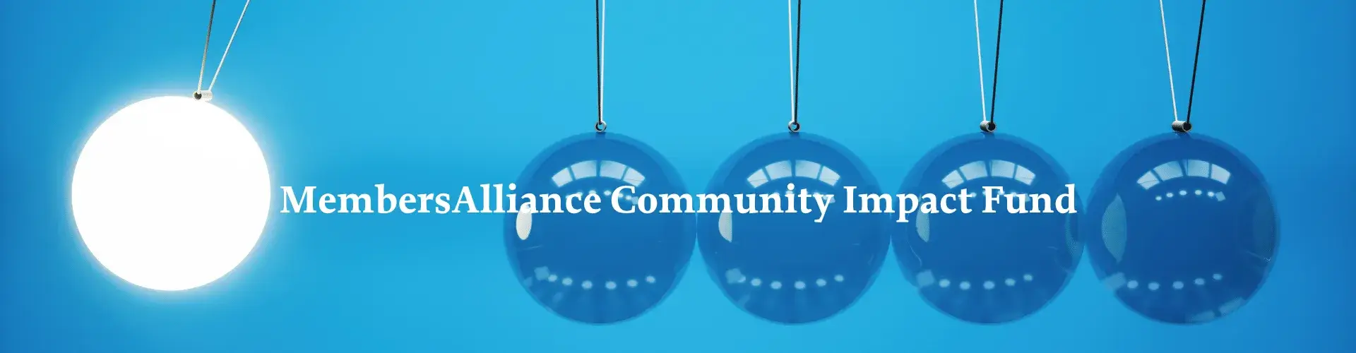 MembersAlliance Community Impact Fund