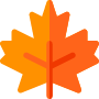 autumn leaf icon